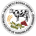 Boşnak köyü Halilbeyli